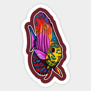 Tropical Discus Fish Sticker